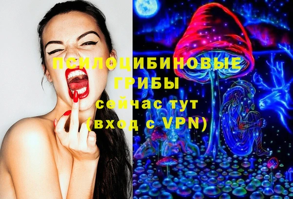 стаф Кинешма