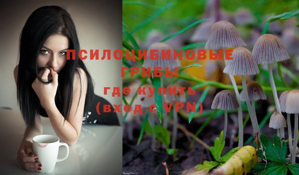 стаф Кинешма