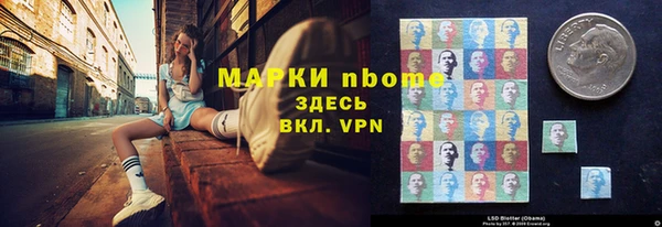 стаф Кинешма