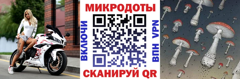 Купить где  Пересвет  Псилоцибиновые грибы Psilocybine cubensis 
